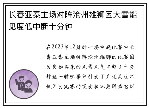 长春亚泰主场对阵沧州雄狮因大雪能见度低中断十分钟